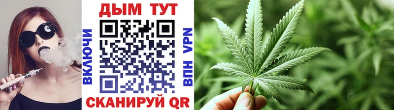 A-PVP Няндома